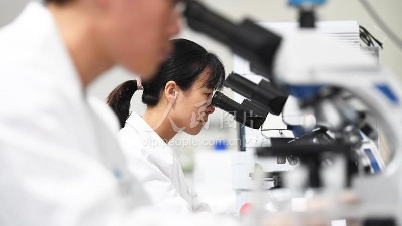 细胞培养基：材质与分类解析