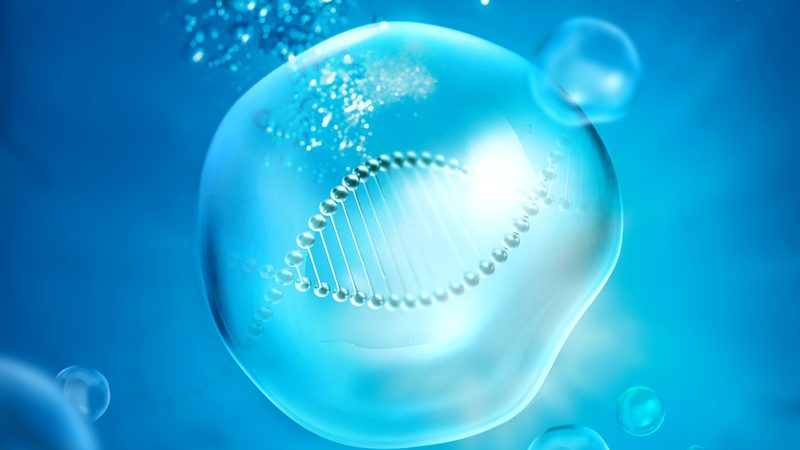 生物科技研发人员招聘：如何精准锁定行业精英？**