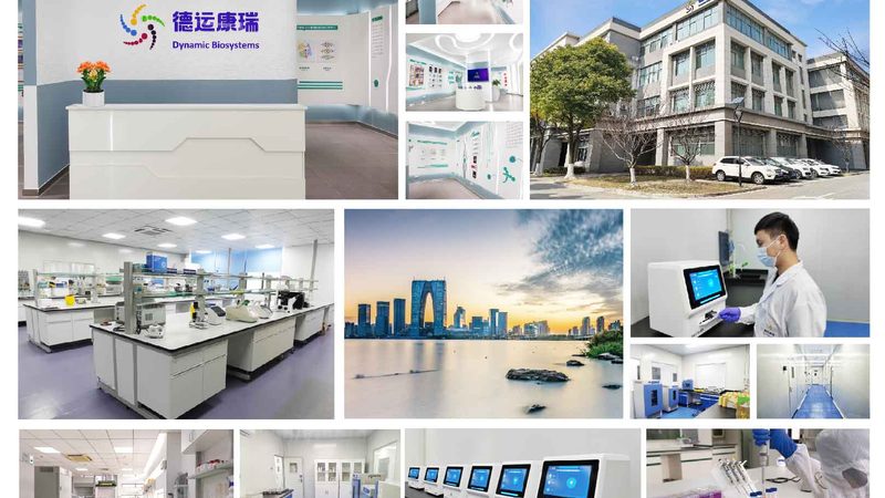 PCR引物合成：上海厂家的技术实力与行业格局