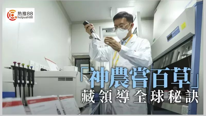上海生物试剂直供，揭秘背后的行业逻辑