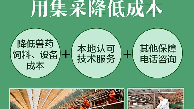 山东酶制剂生产：揭秘其技术优势与行业地位