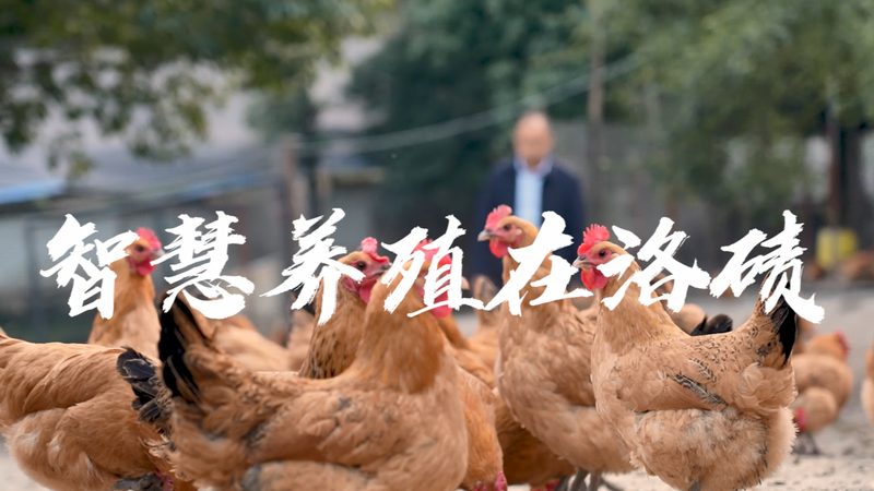 CDMO质量标准：解码医药研发背后的严苛要求